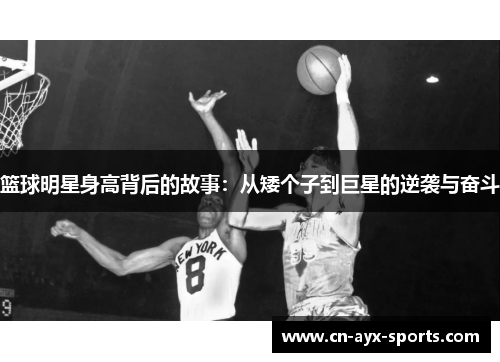 篮球明星身高背后的故事：从矮个子到巨星的逆袭与奋斗