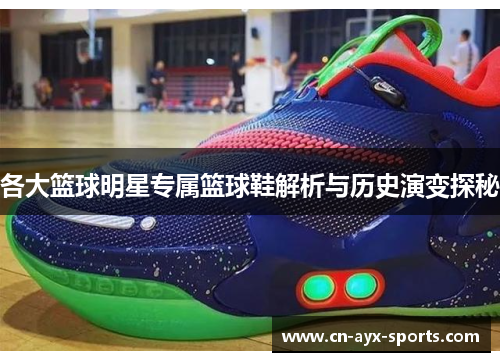 各大篮球明星专属篮球鞋解析与历史演变探秘